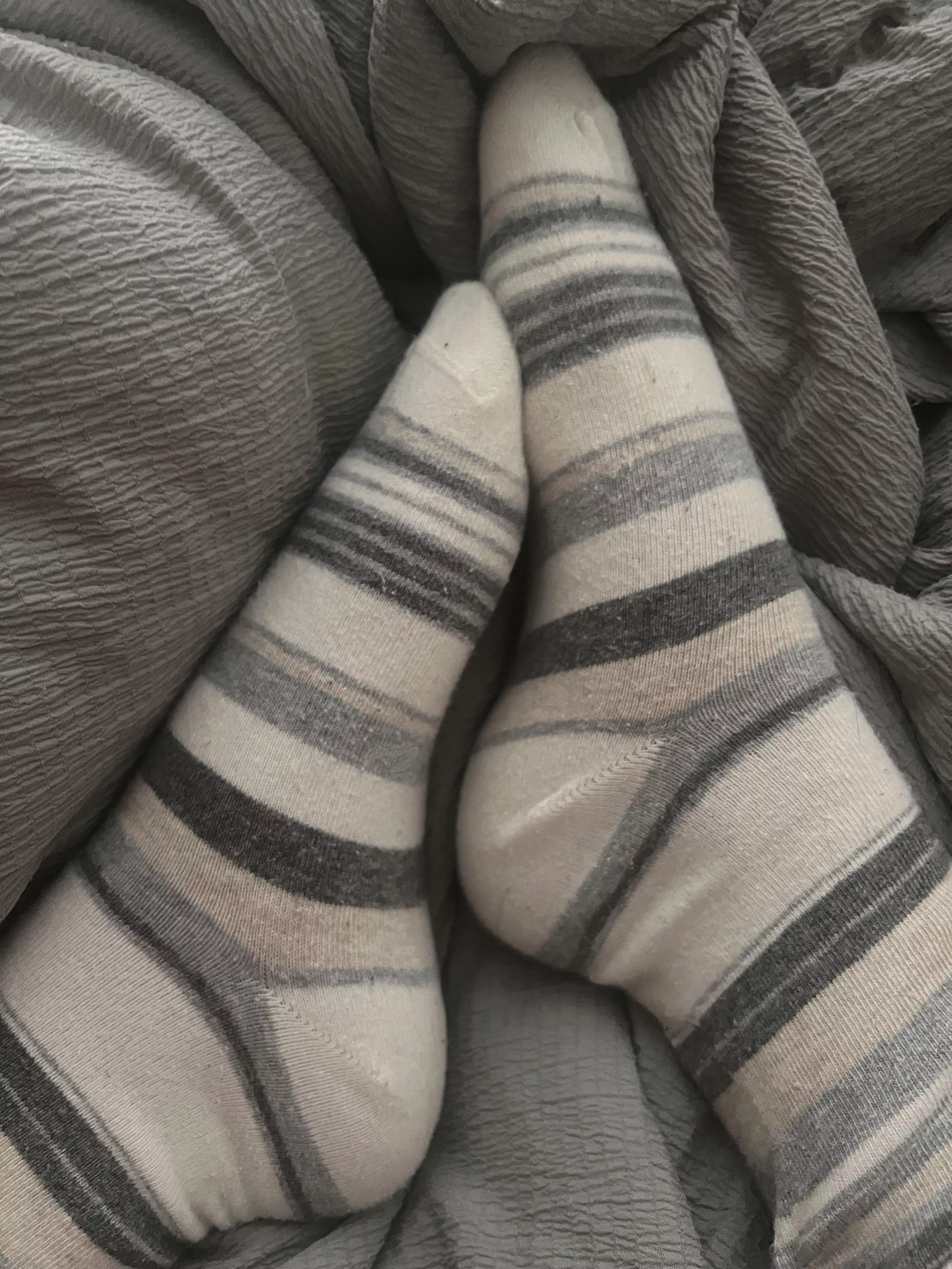 Honestly, love a striped sock ❤️ posted by bookishXgamer
