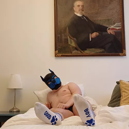 Hotel night after a visit to Stockholm for a mens fetish club 🐾 by pup_mason