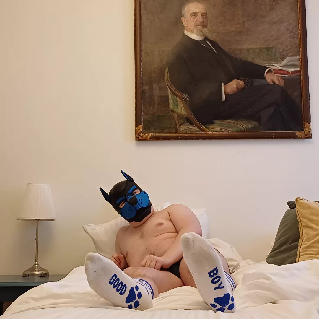 Hotel night after a visit to Stockholm for a mens fetish club 🐾 posted by pup_mason