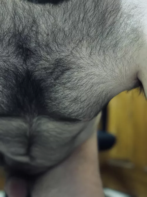 Just snuggle up in here. by DefinitelySufficient