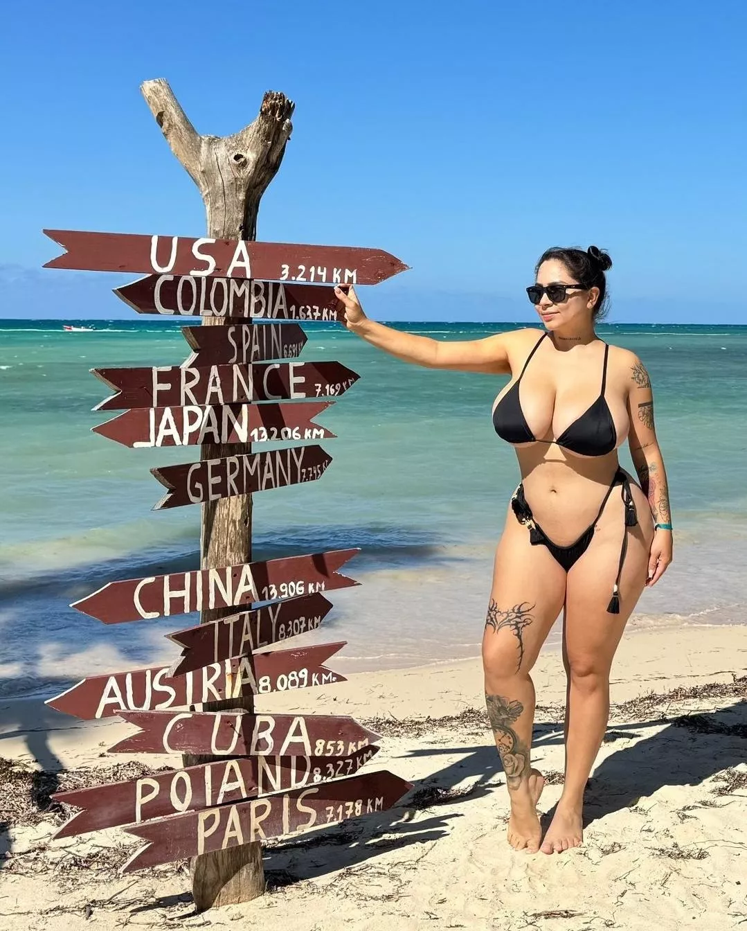 Latin curves  posted by rudeNwrecked