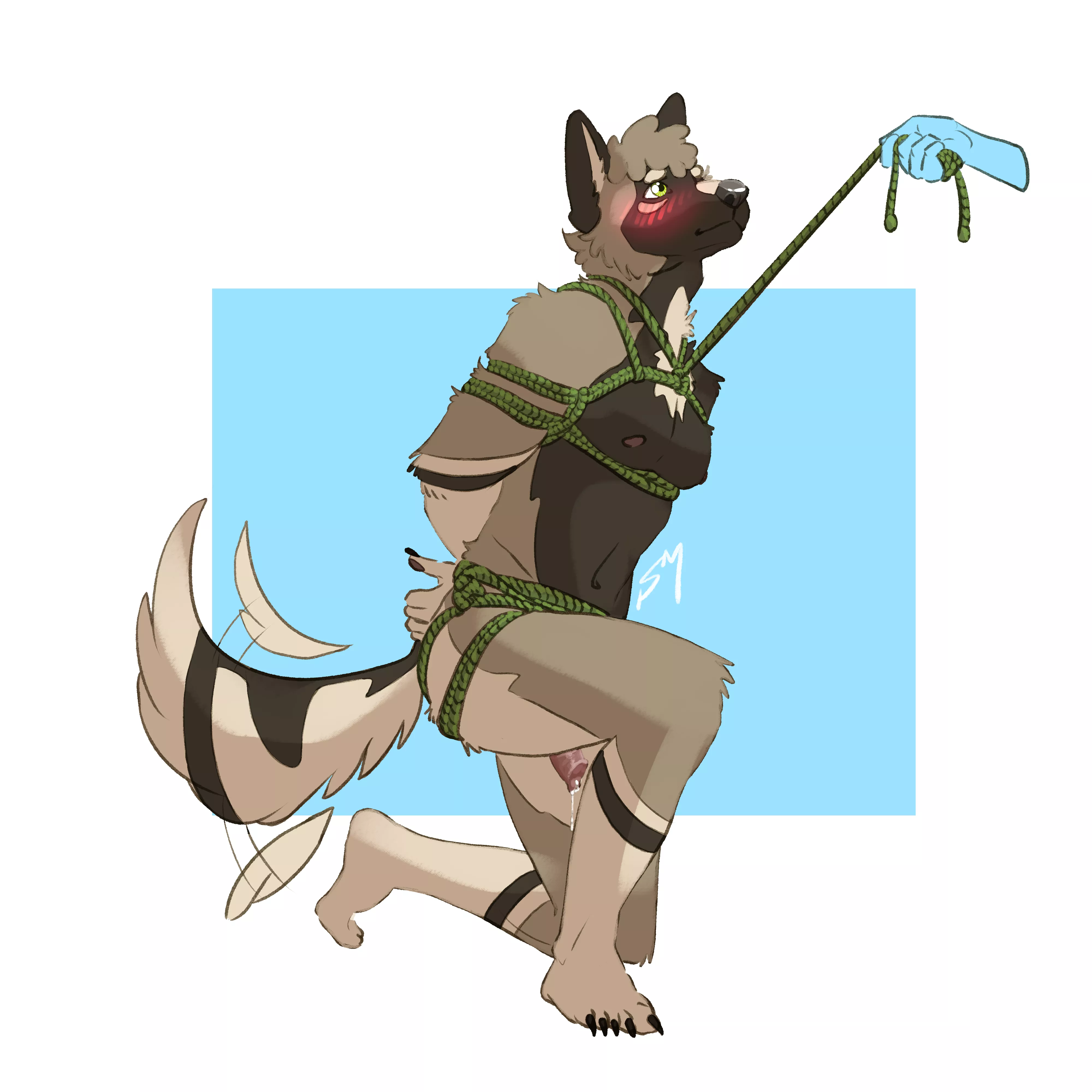 More of my sona, Barley, kneeling happily for his owner posted by SamblesNSFW