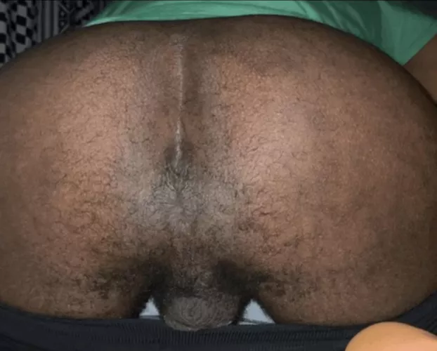 Morning dudes 🐻 by Anourst