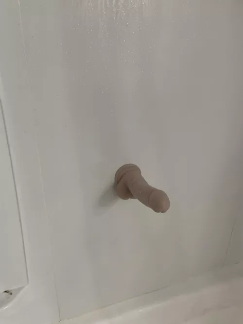 My dildo’s name is Ryan and he stays like this in the shower 24/7. by NauralSub