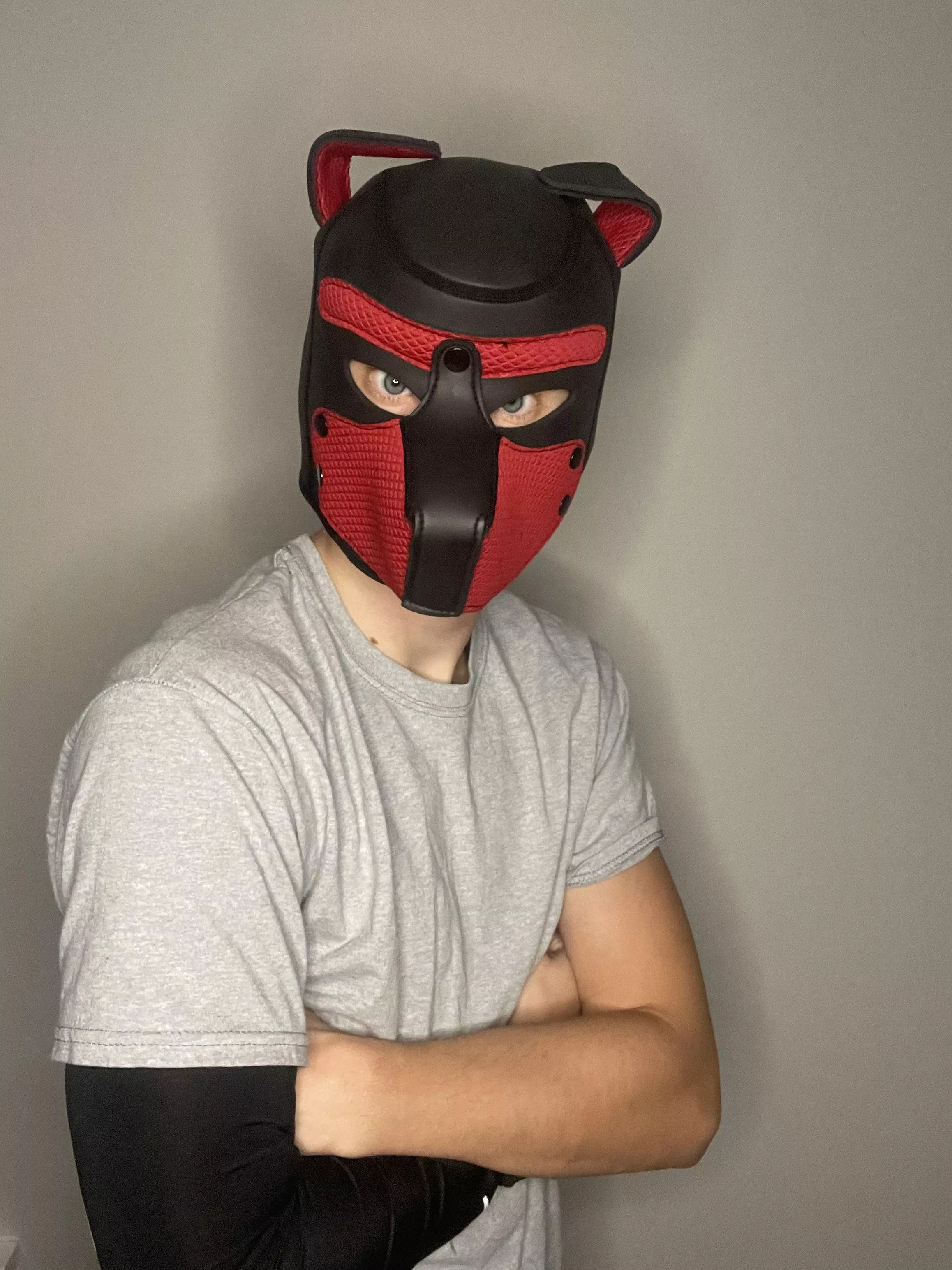 My first post on Reddit! posted by TheMaskedMan50