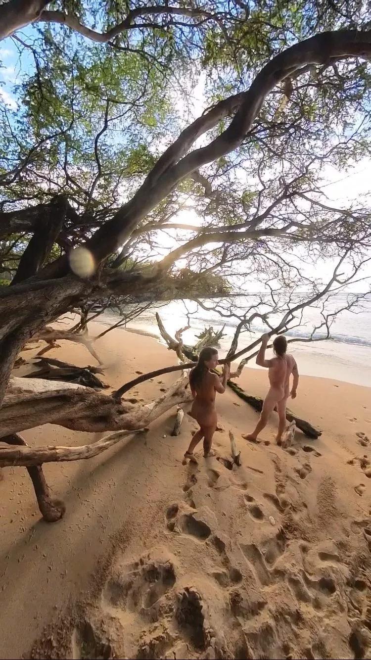On a Beach in Hawaii  posted by Dirtydesertcowboy