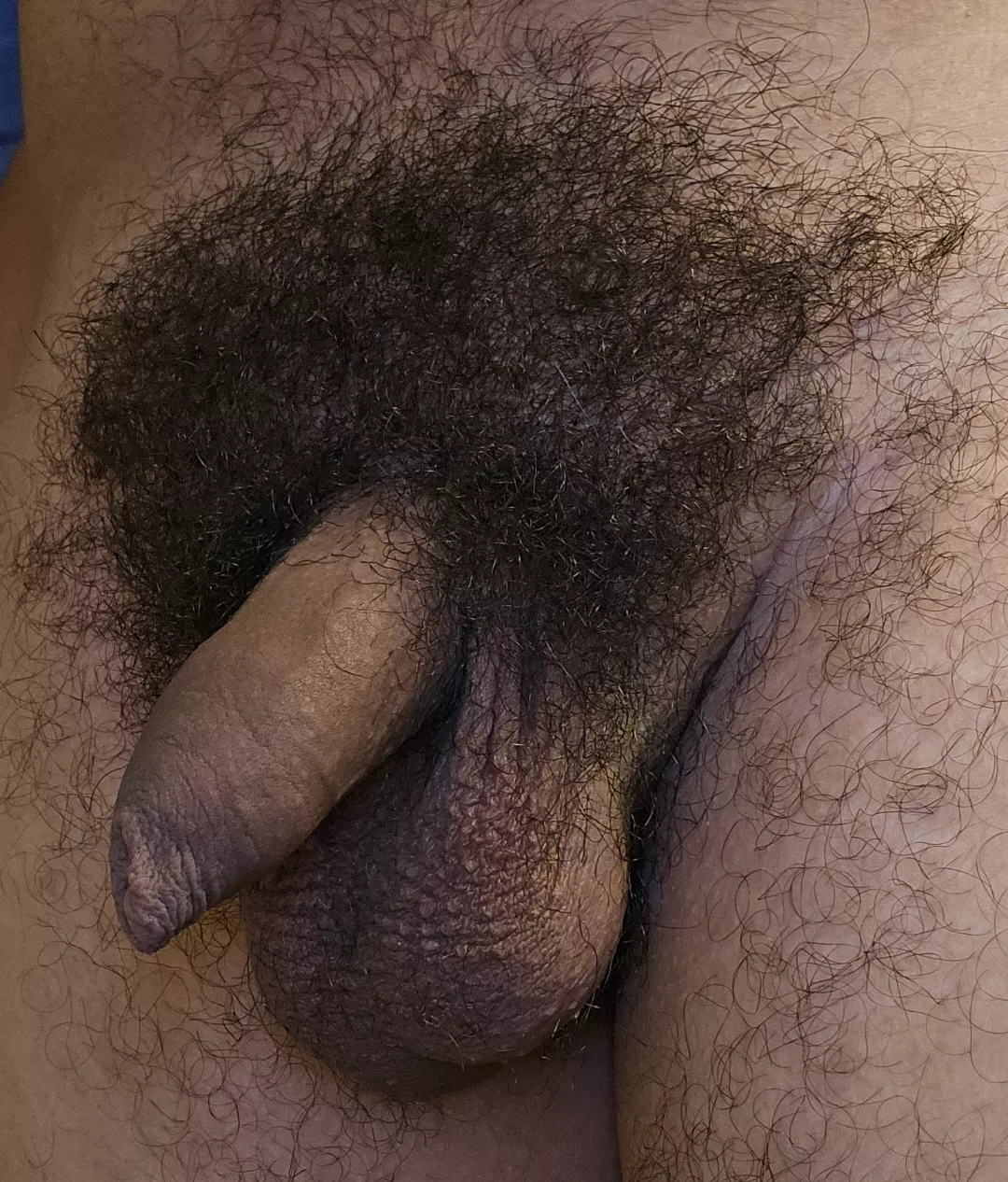 Post shower softie  posted by Humble_Tiger_1519