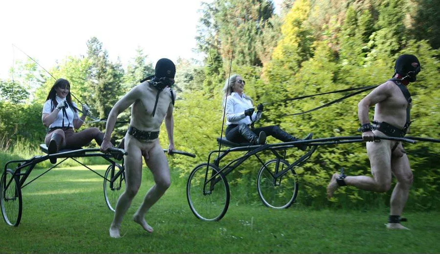 *Press Release* Today we are holding a victory parade to celebrate Alex's surrender. Pig attendance is mandatory. posted by lockedupmalepig