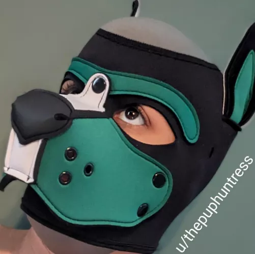 Puppy dog eyes by thepuphuntress