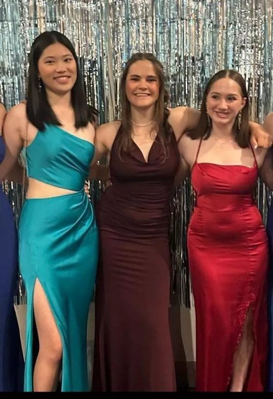 Small, medium or large? [3] posted by Hour-Map2696