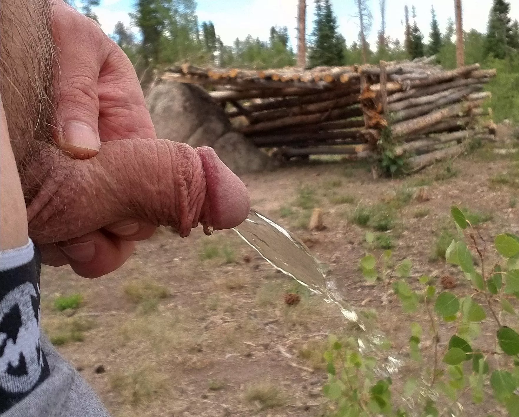 Springtime in the Rockies posted by JKPig66