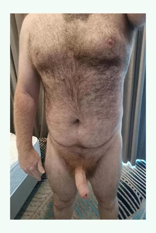 Stipl alone in this hotel room by CatMedical6139