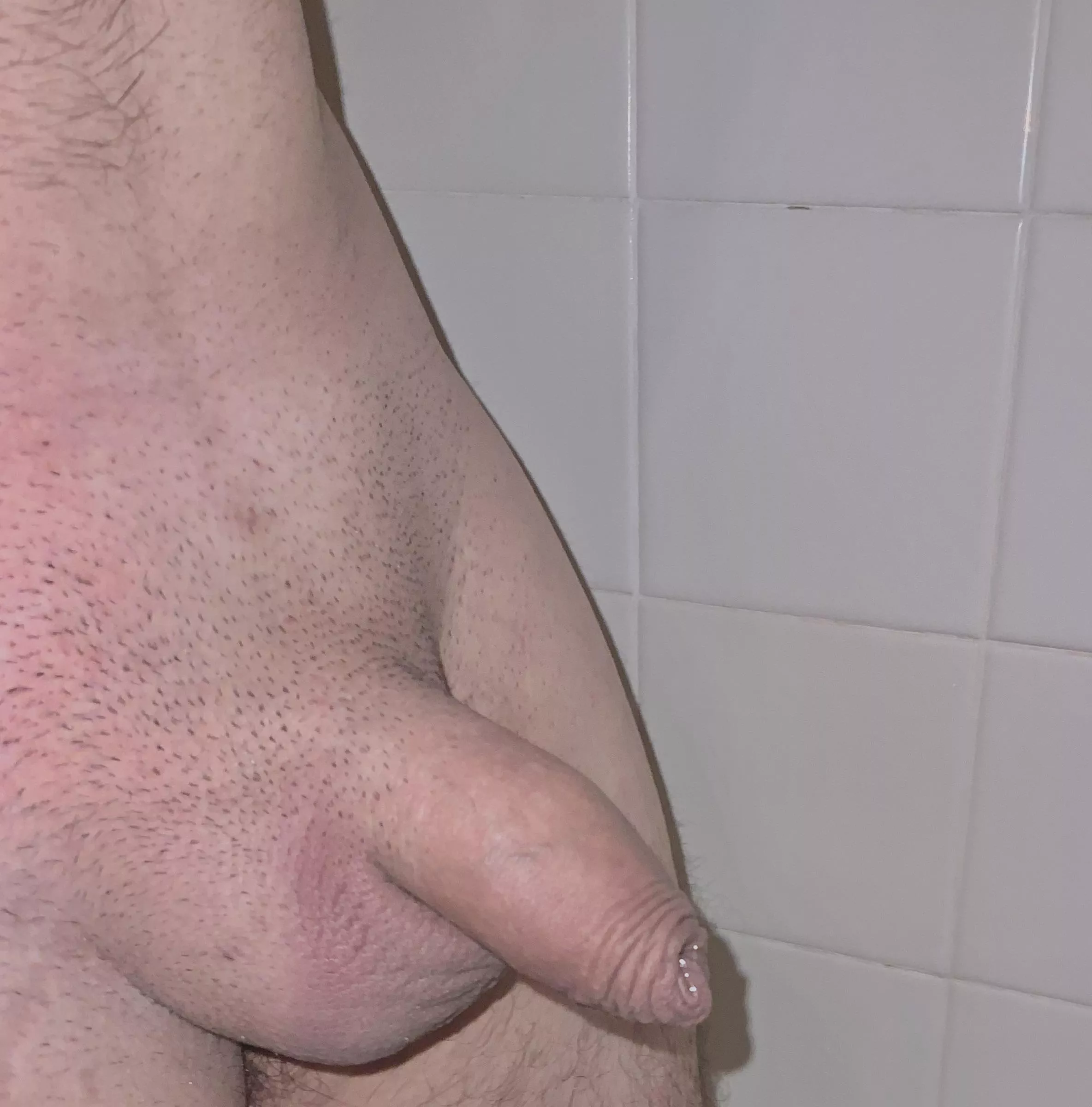 Tears of a cuck’s little dicklette posted by stiffshaftlongball