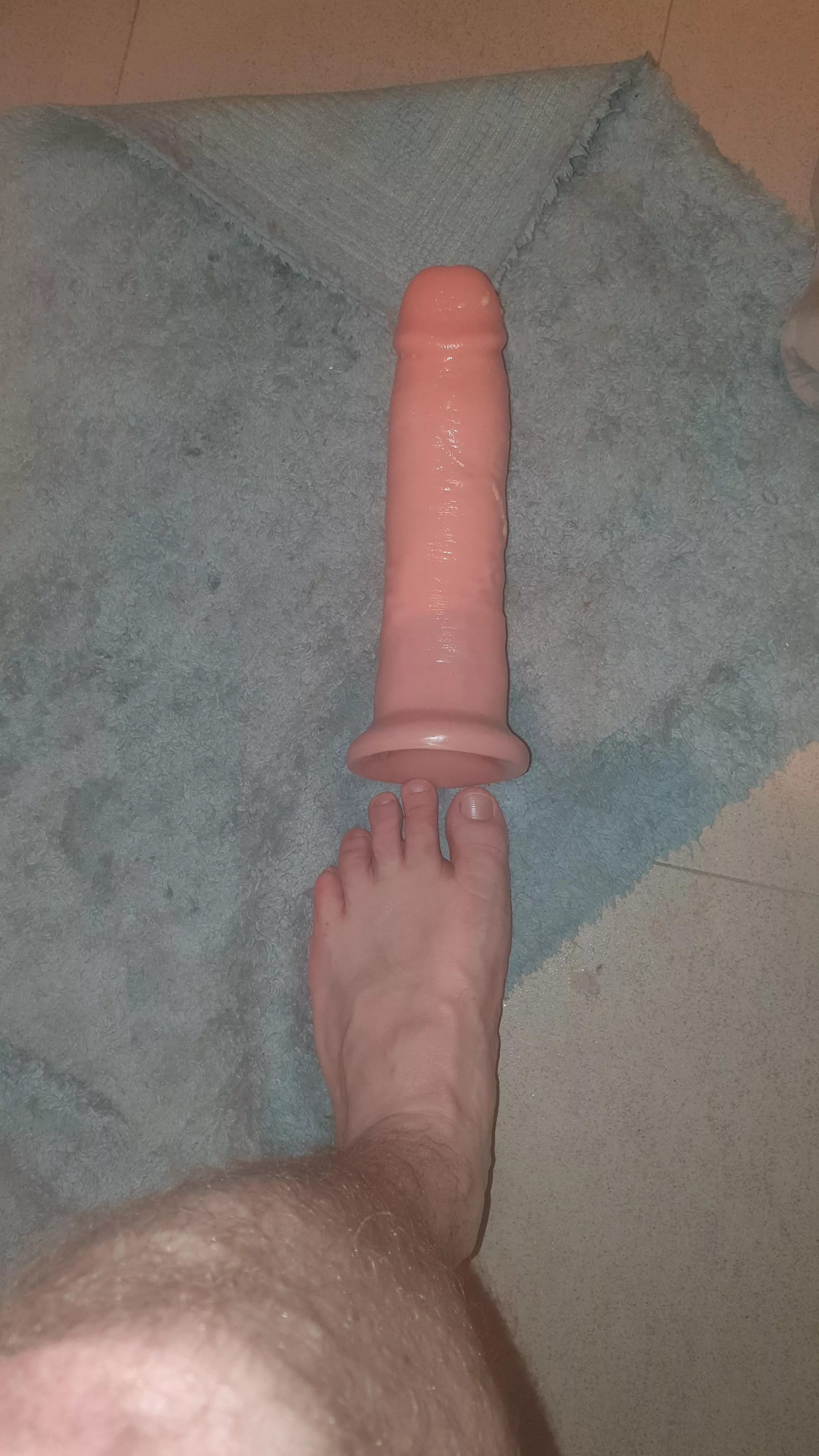 The best toy I own 10x5 inches 😍😍 posted by SnooFloofs7190