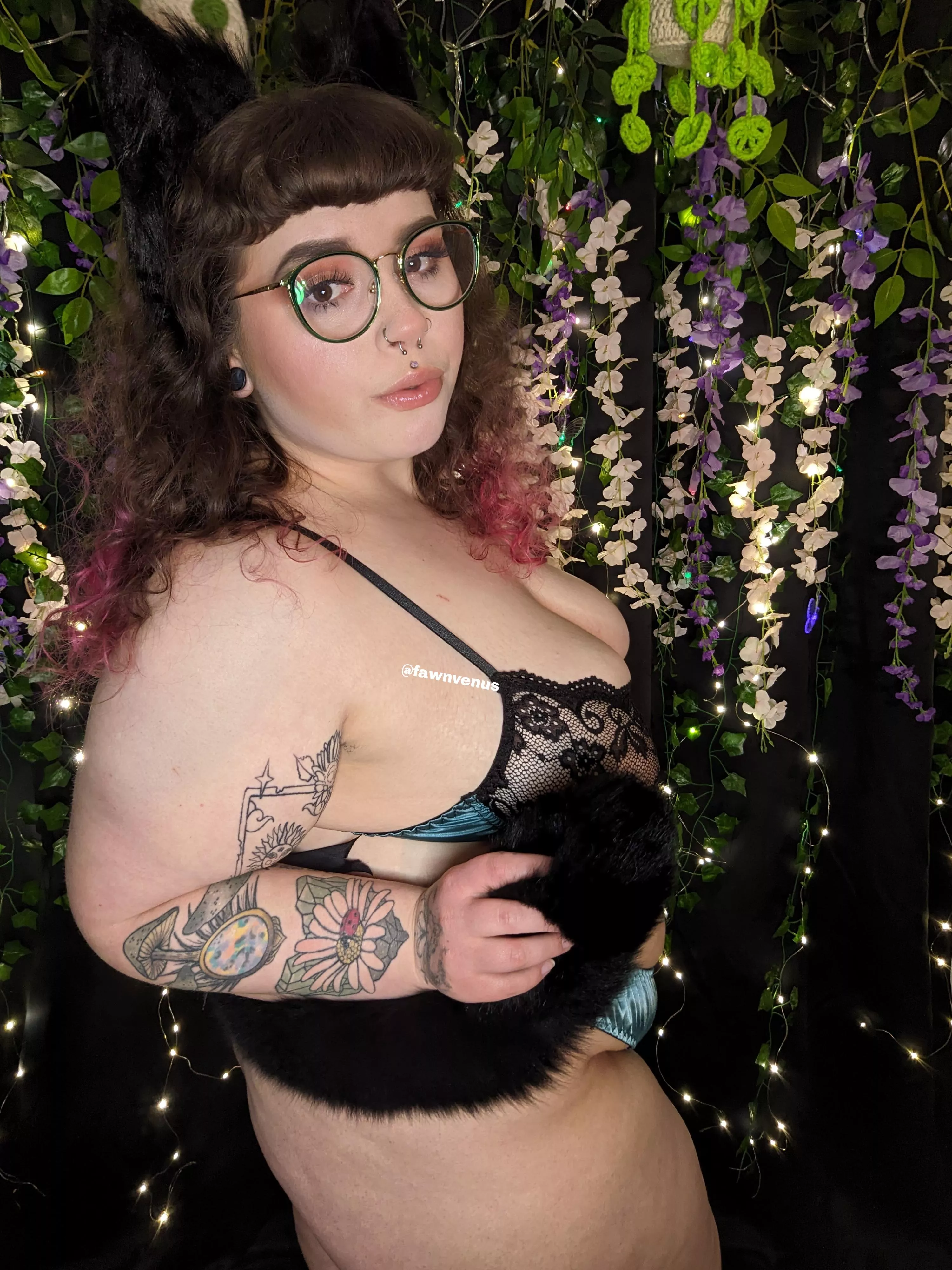 This kitty needs to be collared  posted by fawnvenus