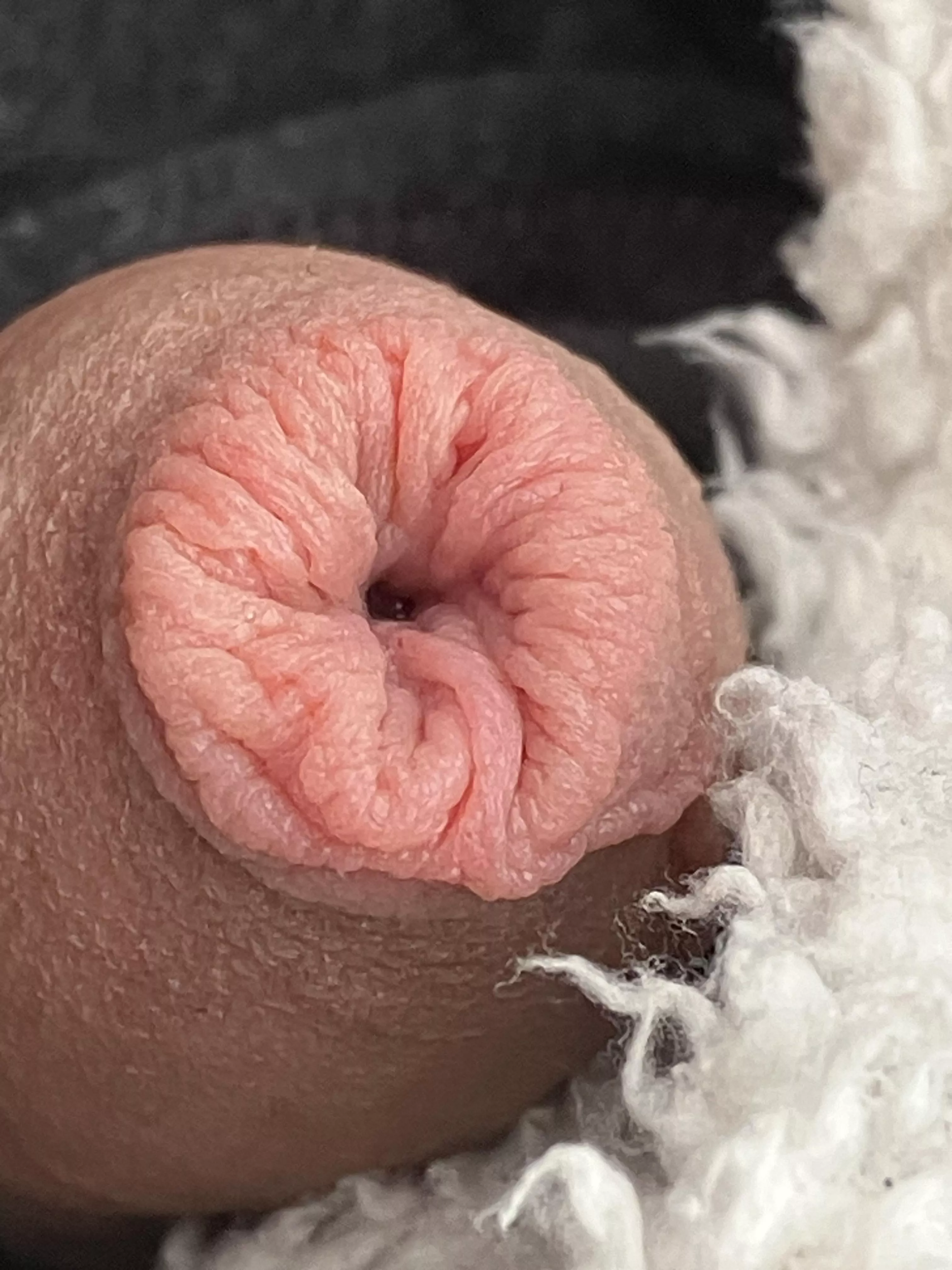 Tip pic posted by smallguy1983