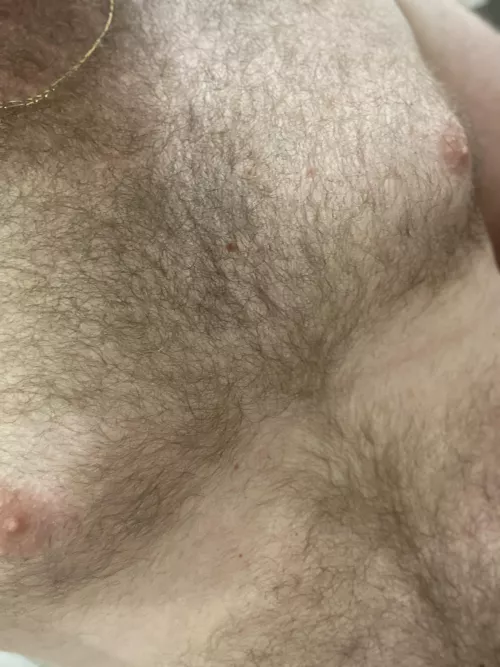 [33] Texas dadbod by WildHelicopter1293