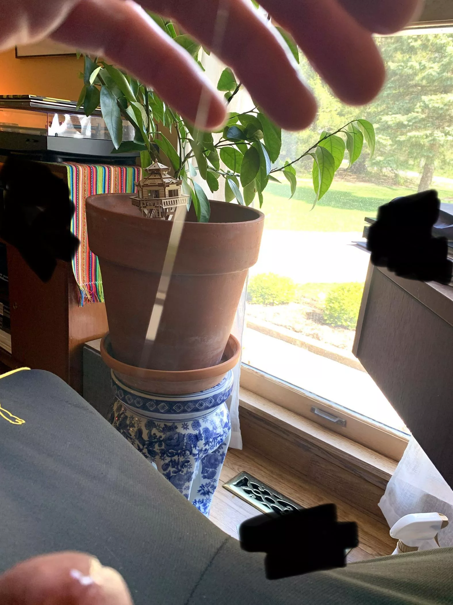 A little more viscosity today posted by Toby1Nekobi