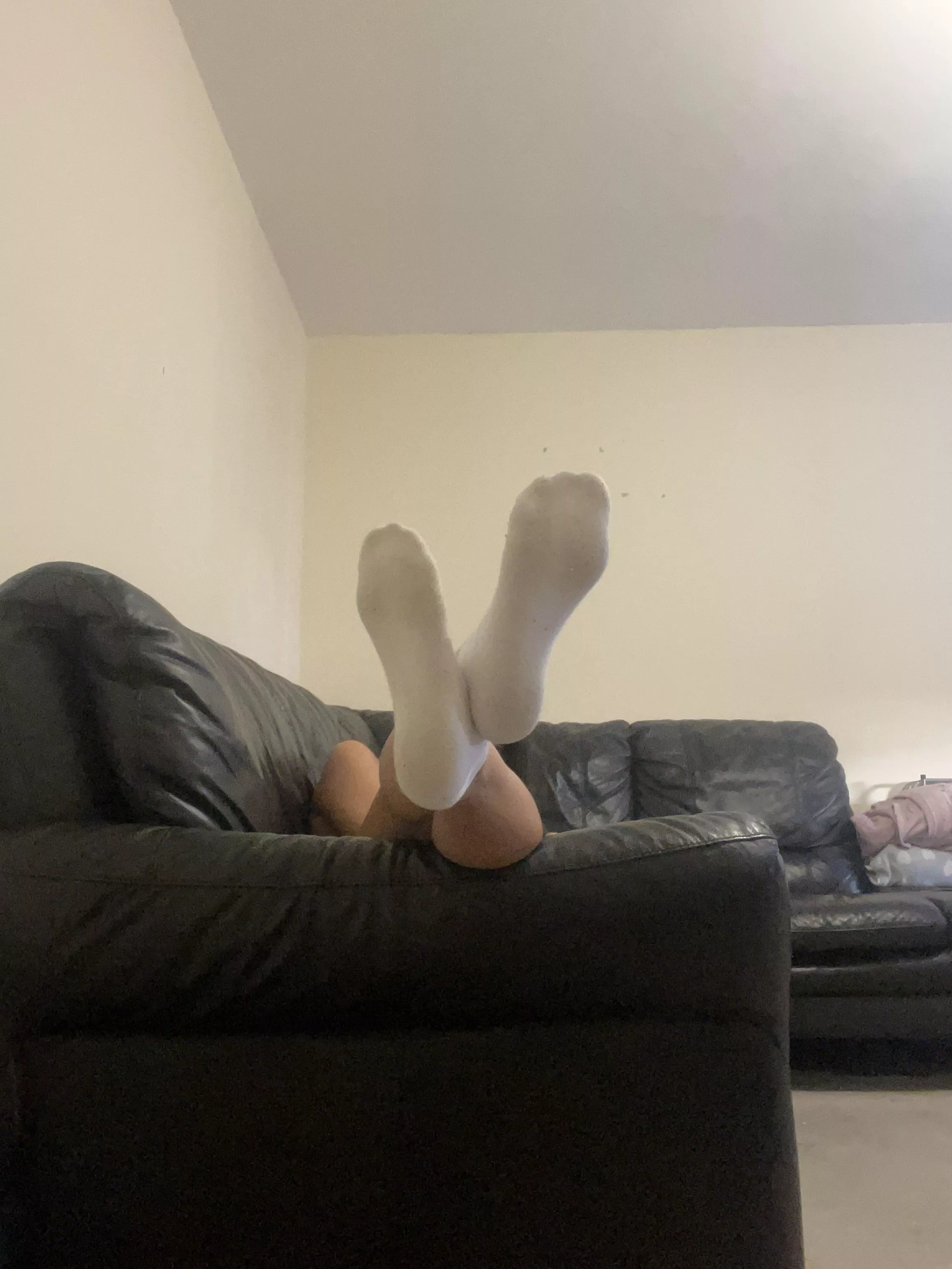 Beg me to sniff them posted by Pussyka699