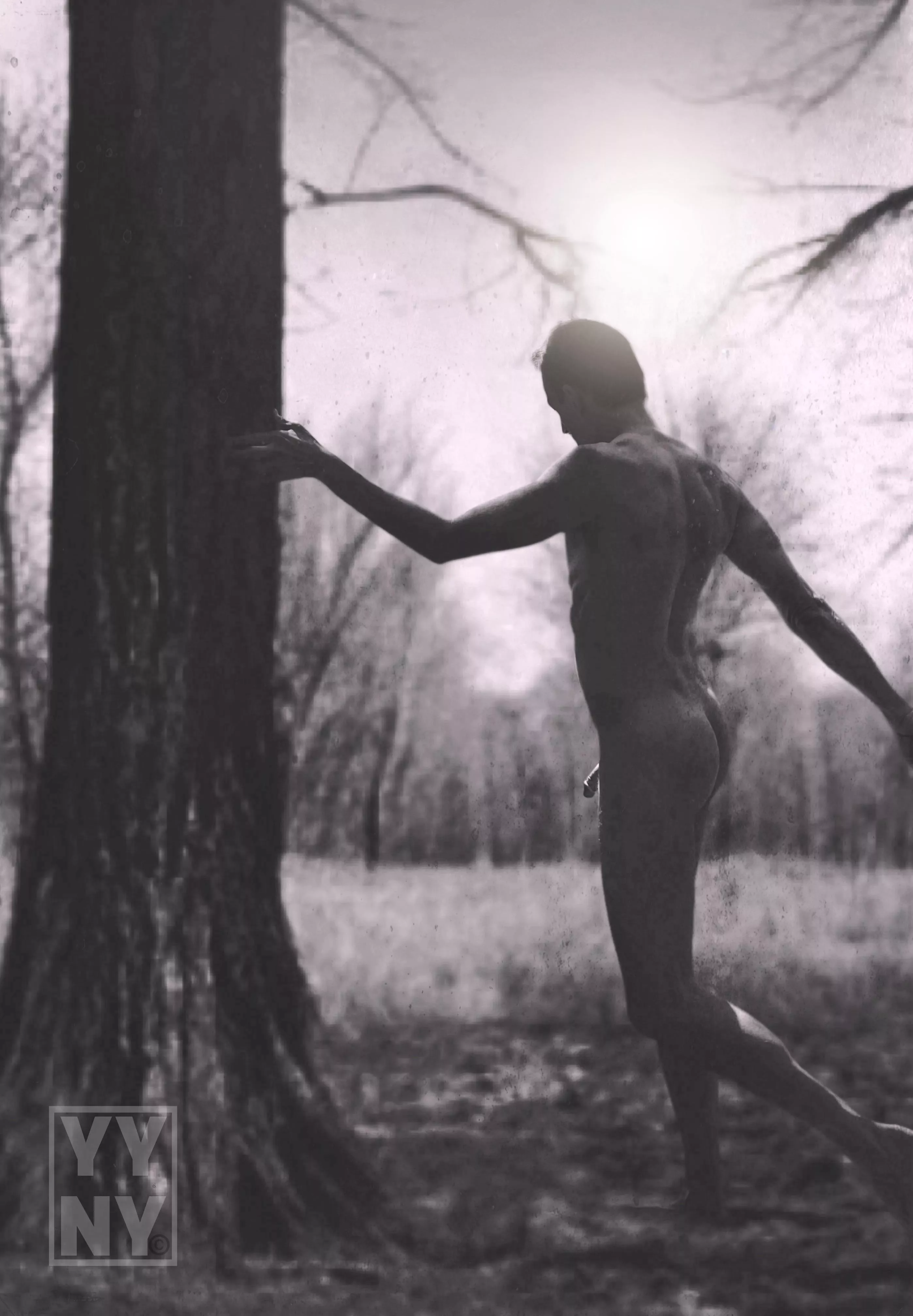 B&W … B.are & W.ishing for warmer weather!!! posted by YangYangNY