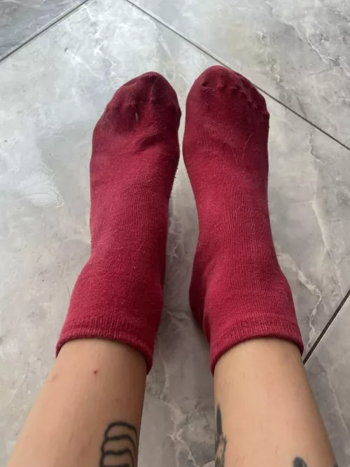 Come and sniff by Quawk_Girl