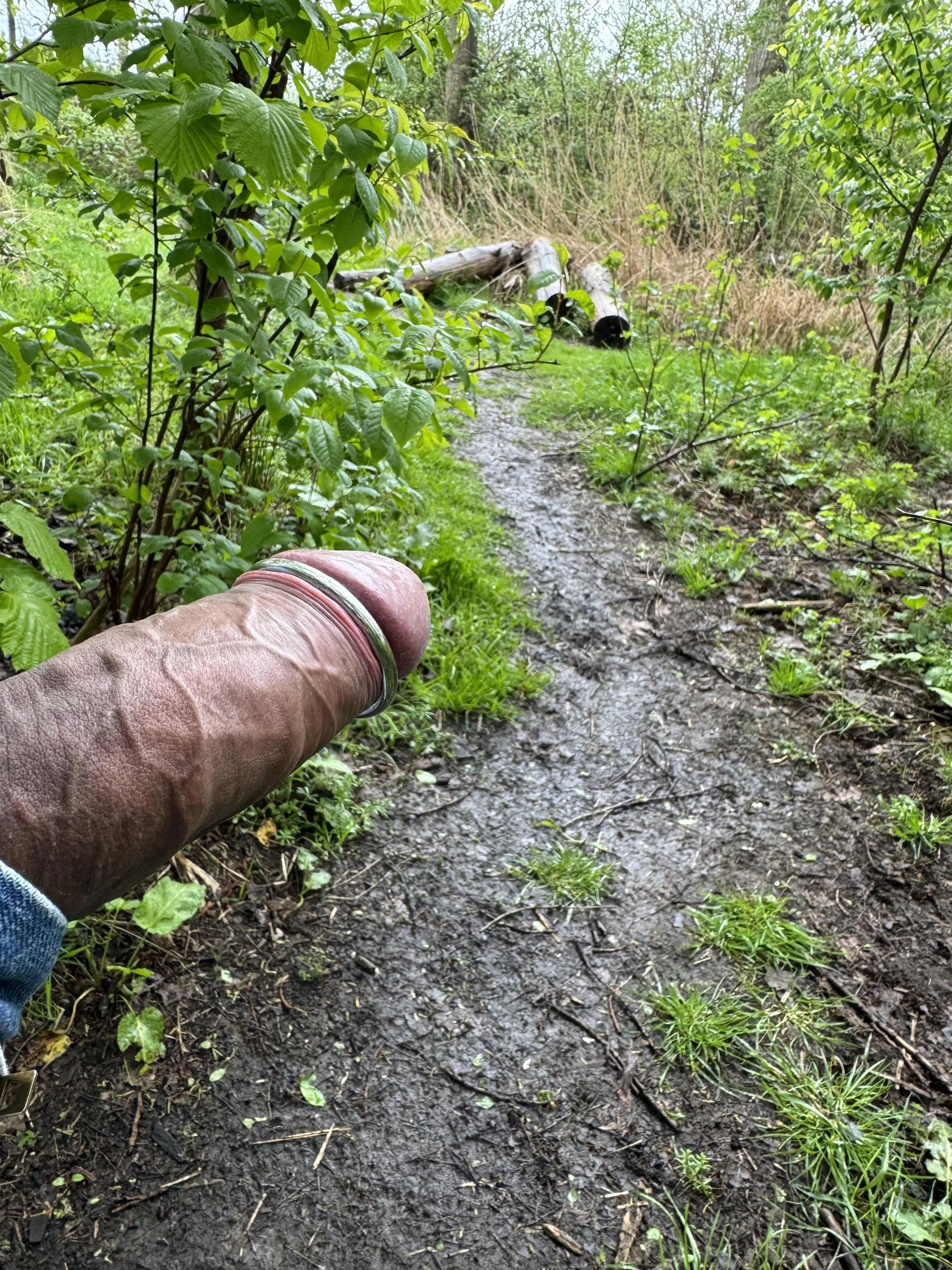 Follow the trail and taste the rainbow… posted by thatdroolguy