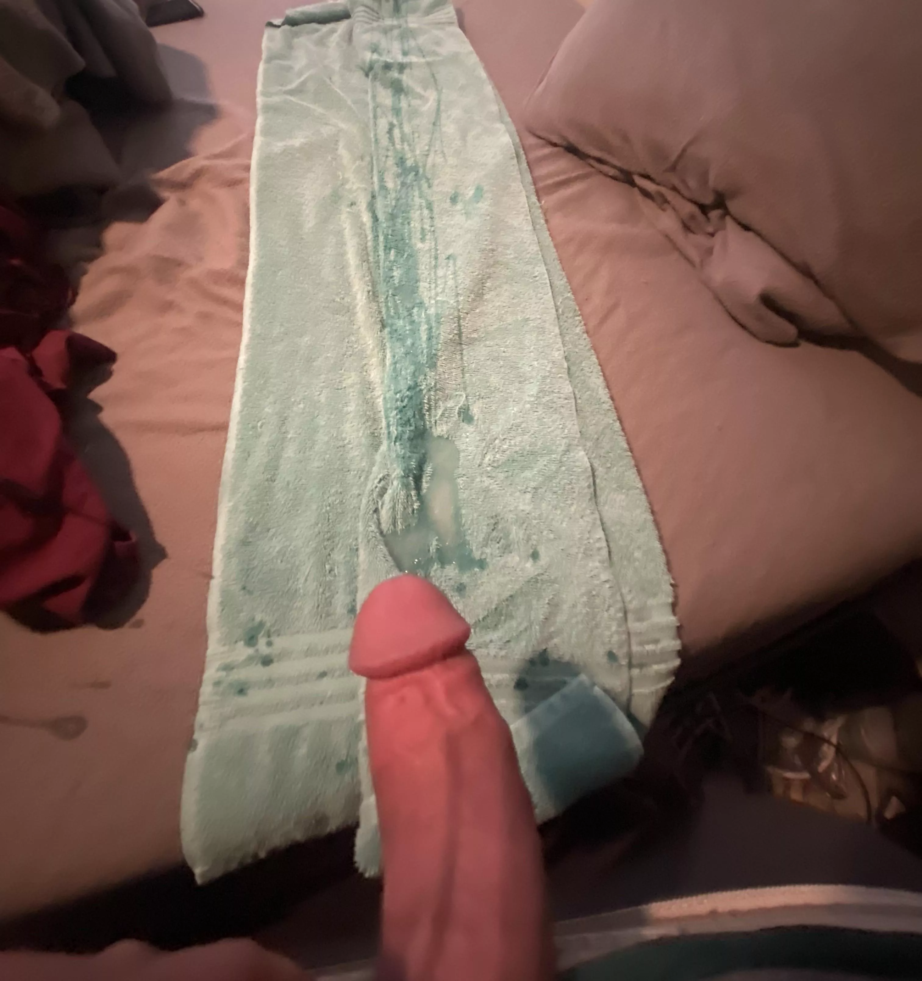 Fuck that felt amazing posted by aboveaveragehorse