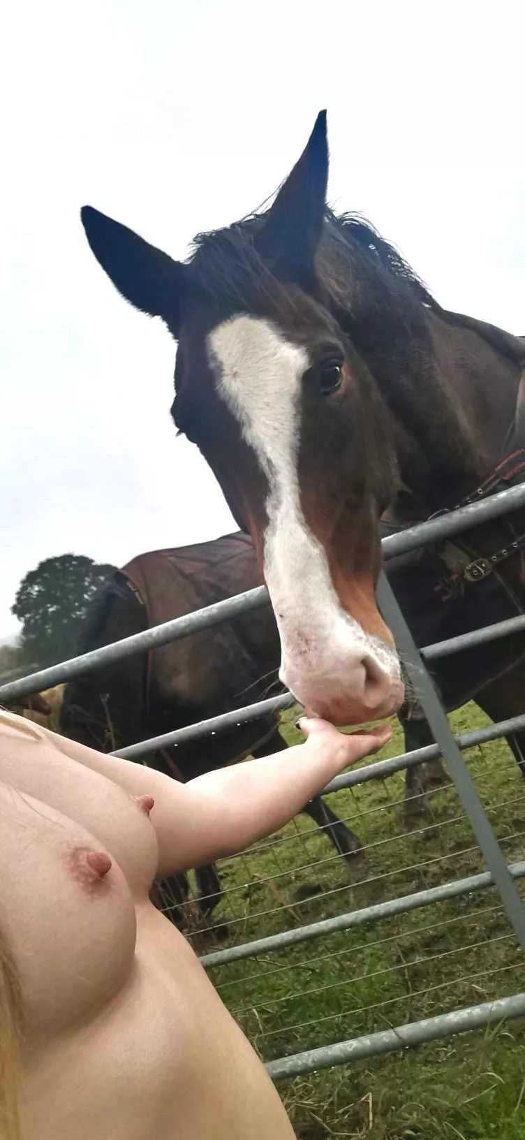 Had to try and avoid getting anything bitten at the farm posted by NakedCountryGirl
