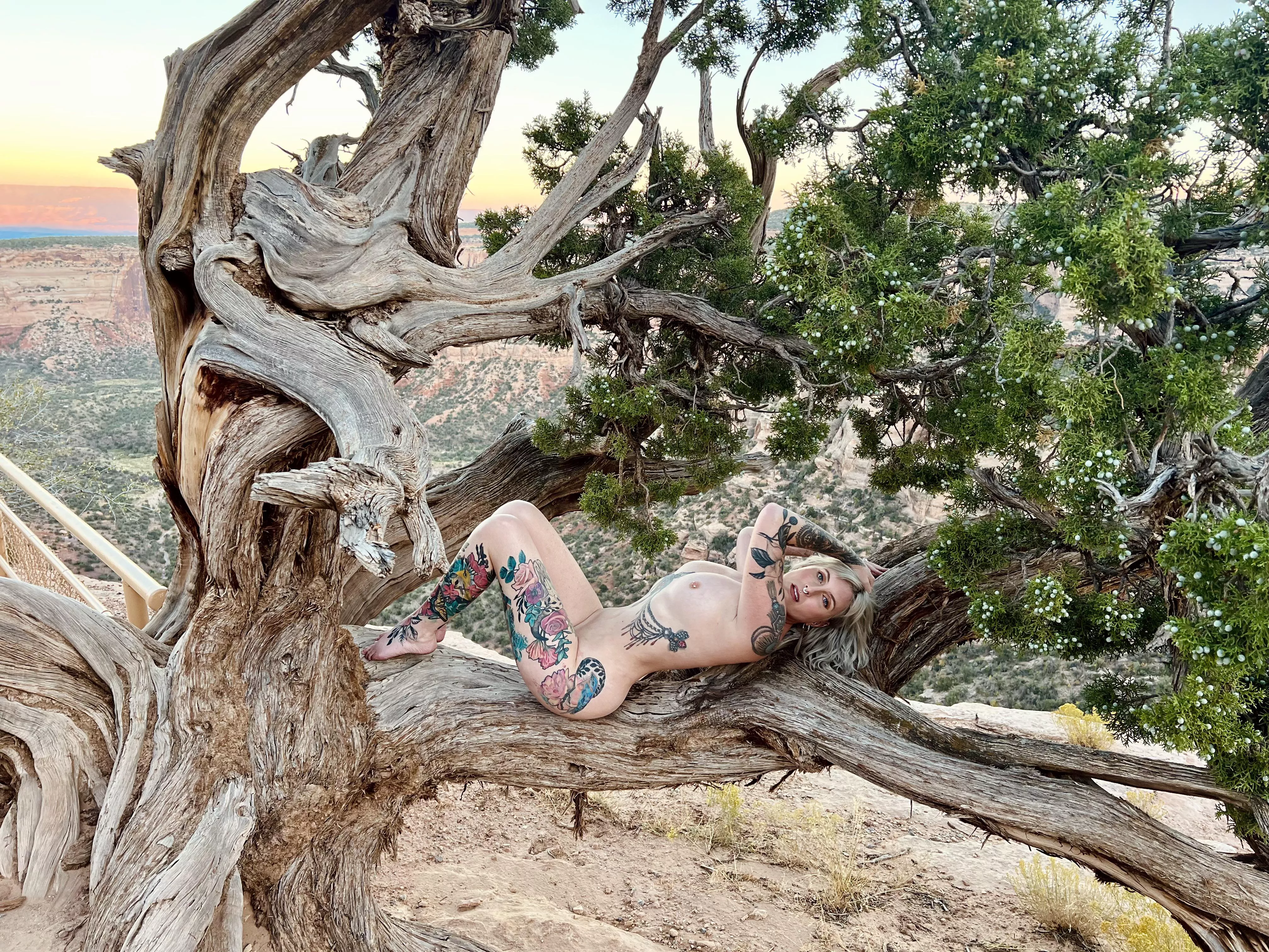 In the wild  posted by the_naked_adventurer