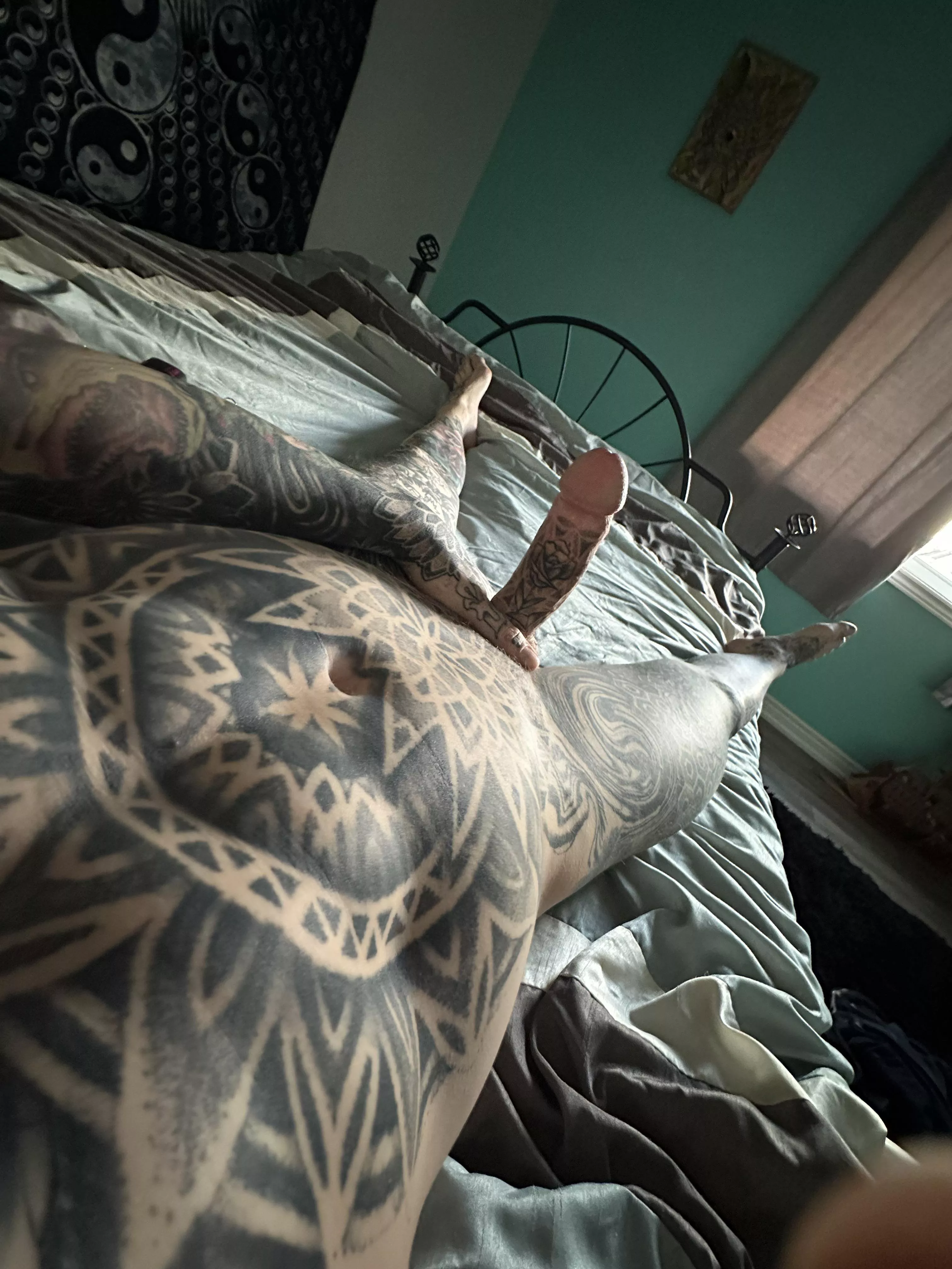 It was a beautiful morning!  posted by Plenty_Move_2110