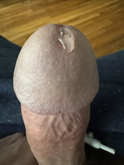 It’s raining, I’m leaking.. by Agitated_Goal_6853