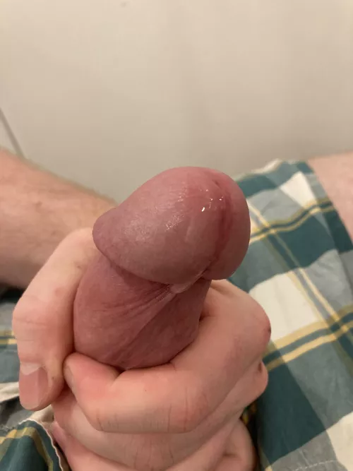 leaking by TheBoxersDude