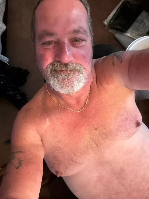 Morning bears by bigguy11953