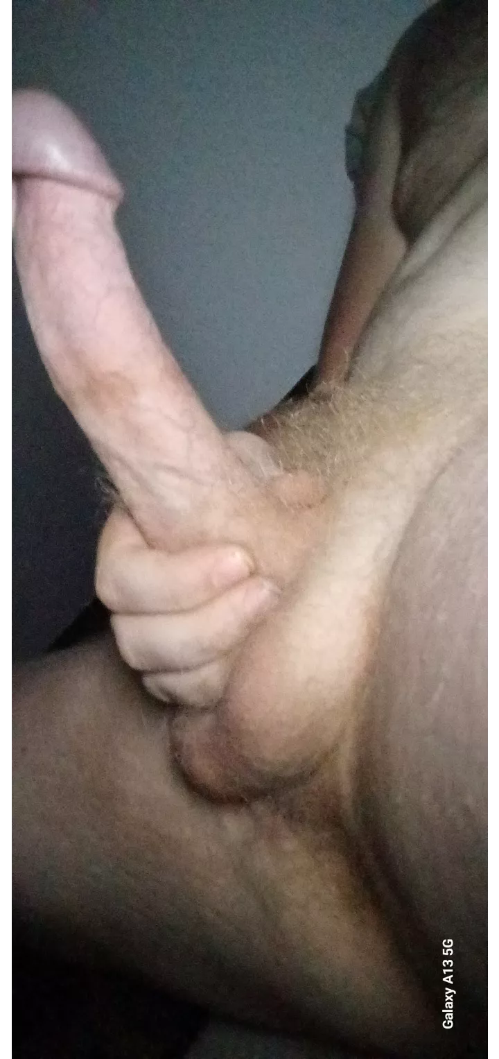 No hiding this big beauty behind a foreskin  posted by PokePup01