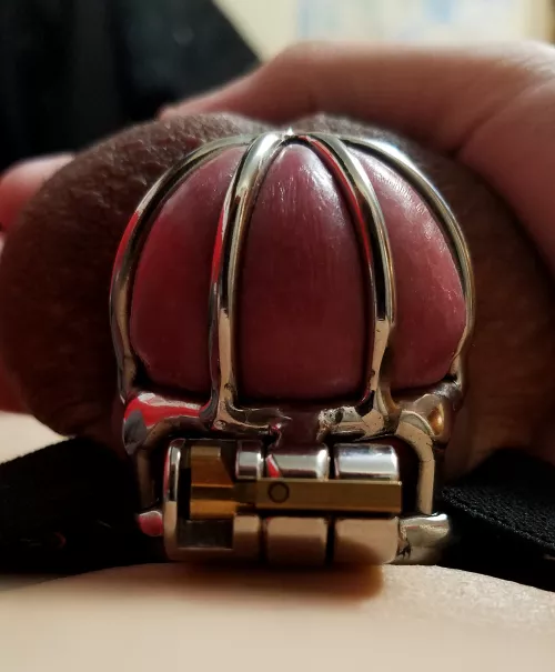 One of the most HD pics of my crushed clitty that I took lmao, RTX ON 😩💦 by SubbyA1ex