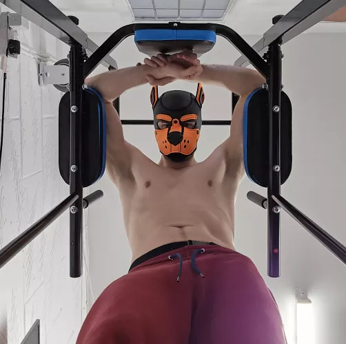 Pup Hood gives + 10 to constitution by AshdogeTF