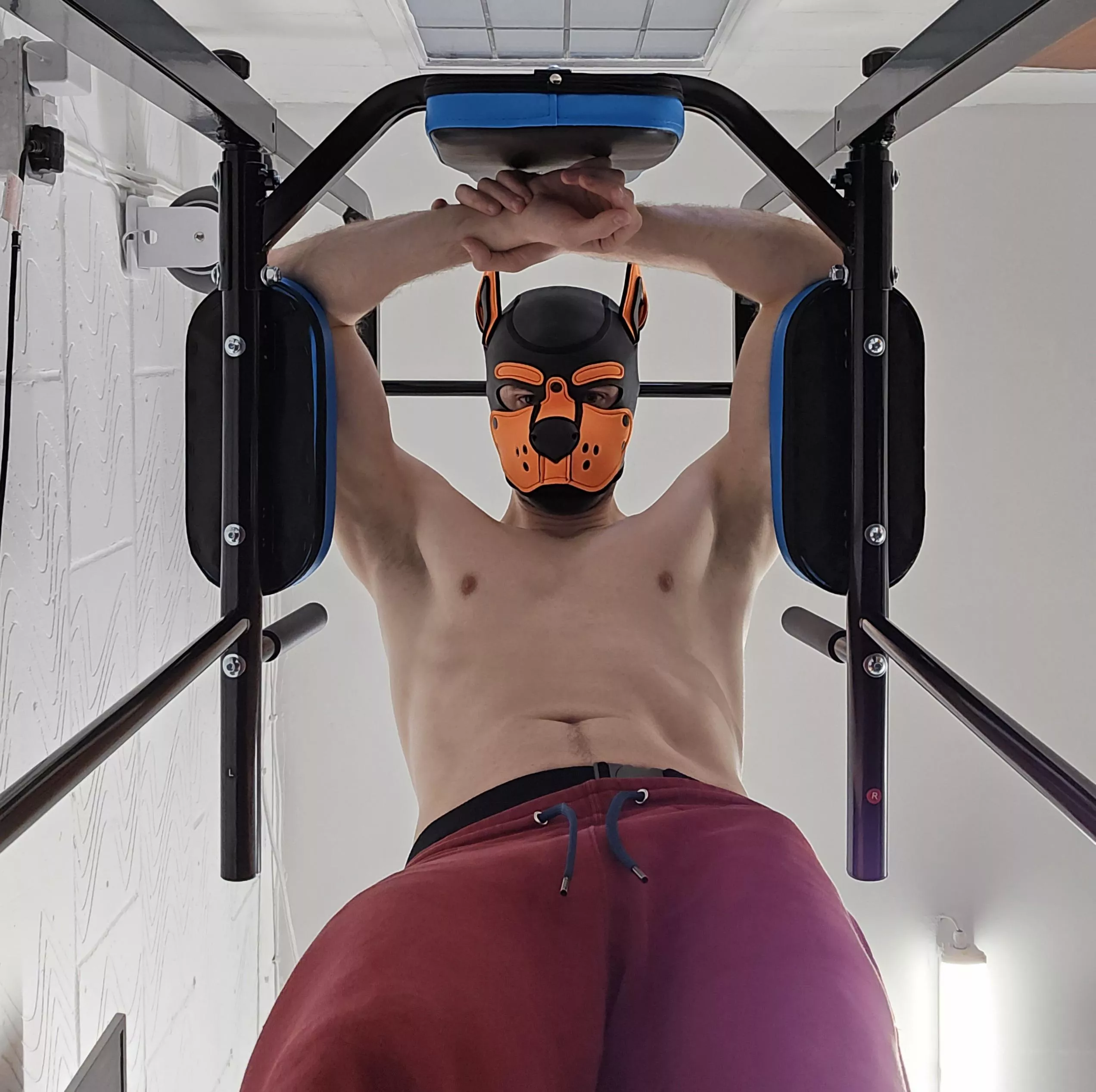 Pup Hood gives + 10 to constitution posted by AshdogeTF