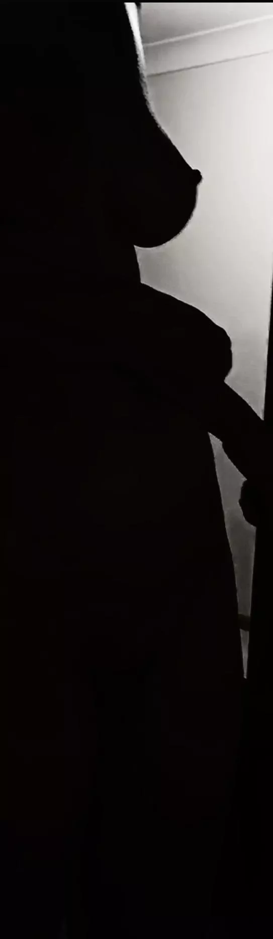 Silhouette  posted by Quietpuppycat