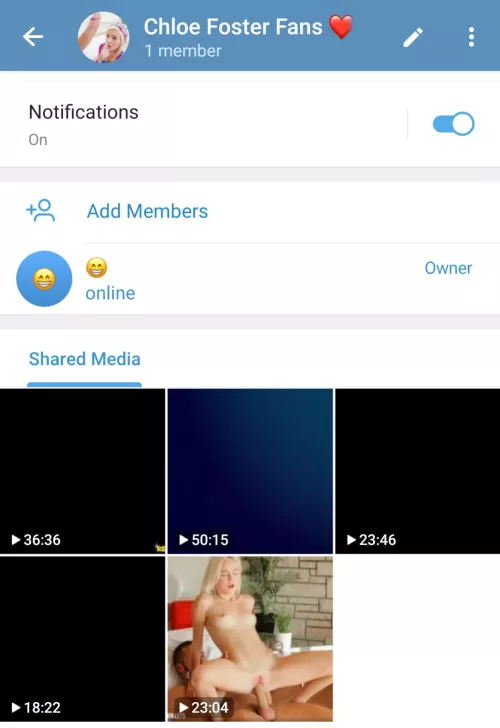 Telegram Group Of Chloe Foster Fans (send me a message for the link) by Grouchy_Shoulder_428