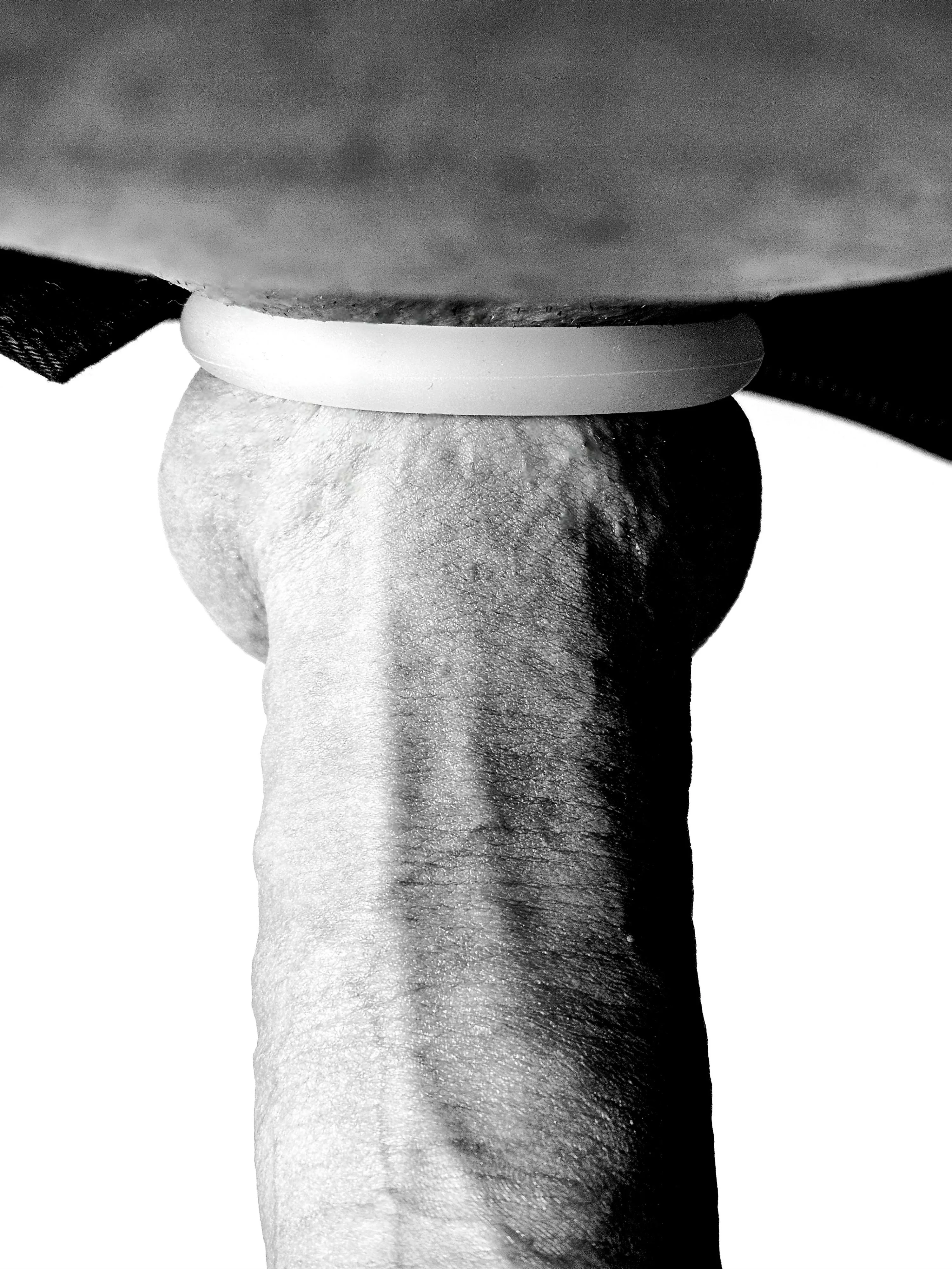 the day can begin. posted by willgrahamthird