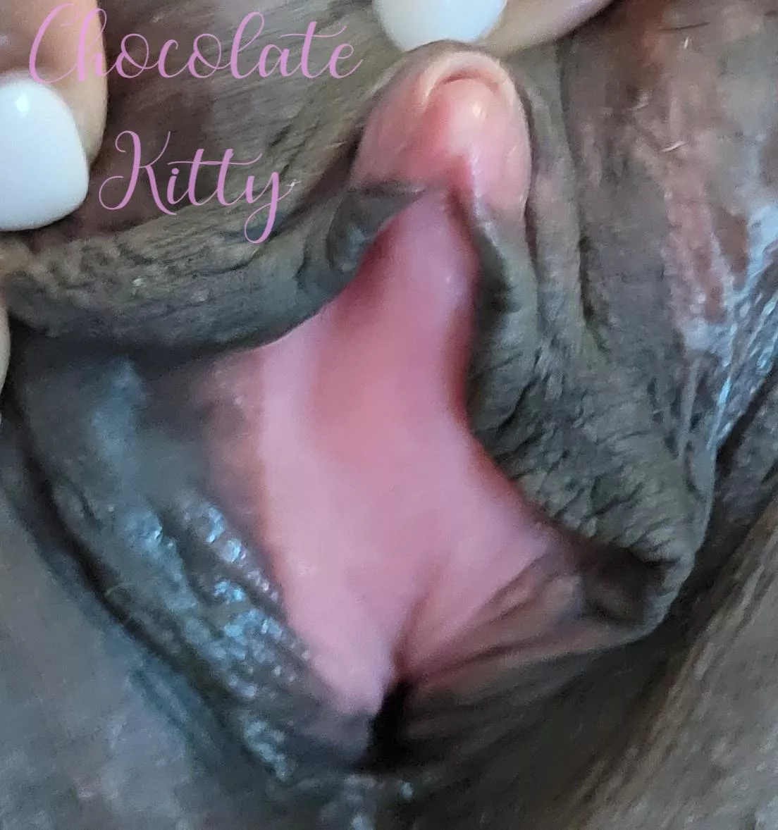 Up close and personal  posted by chocolatekitty52
