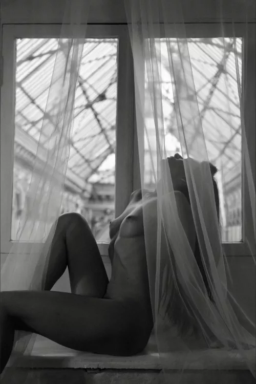 Window Light Reverie by Yvellkan