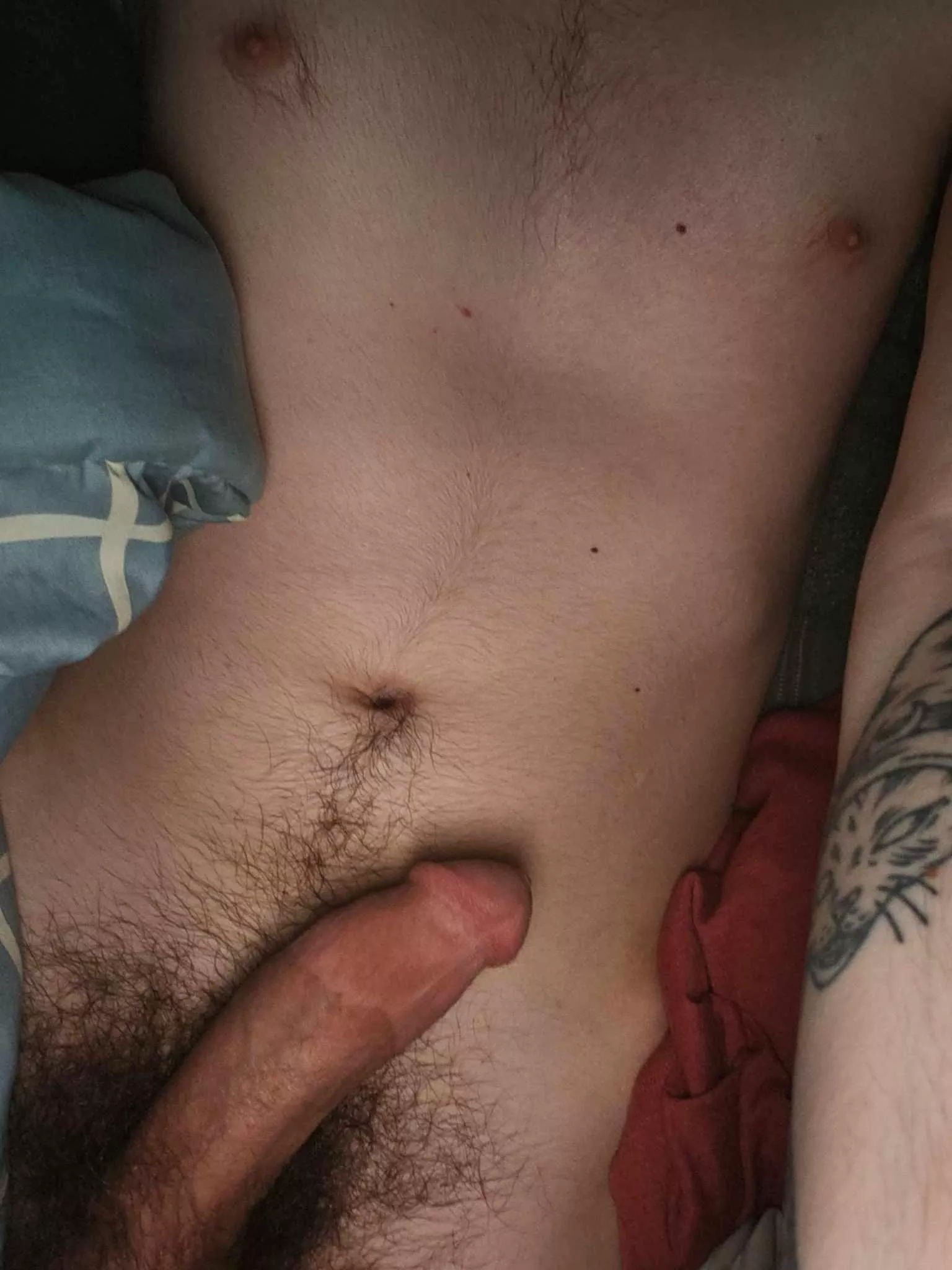 (27) hiii :3 would you suck it  posted by CNM983