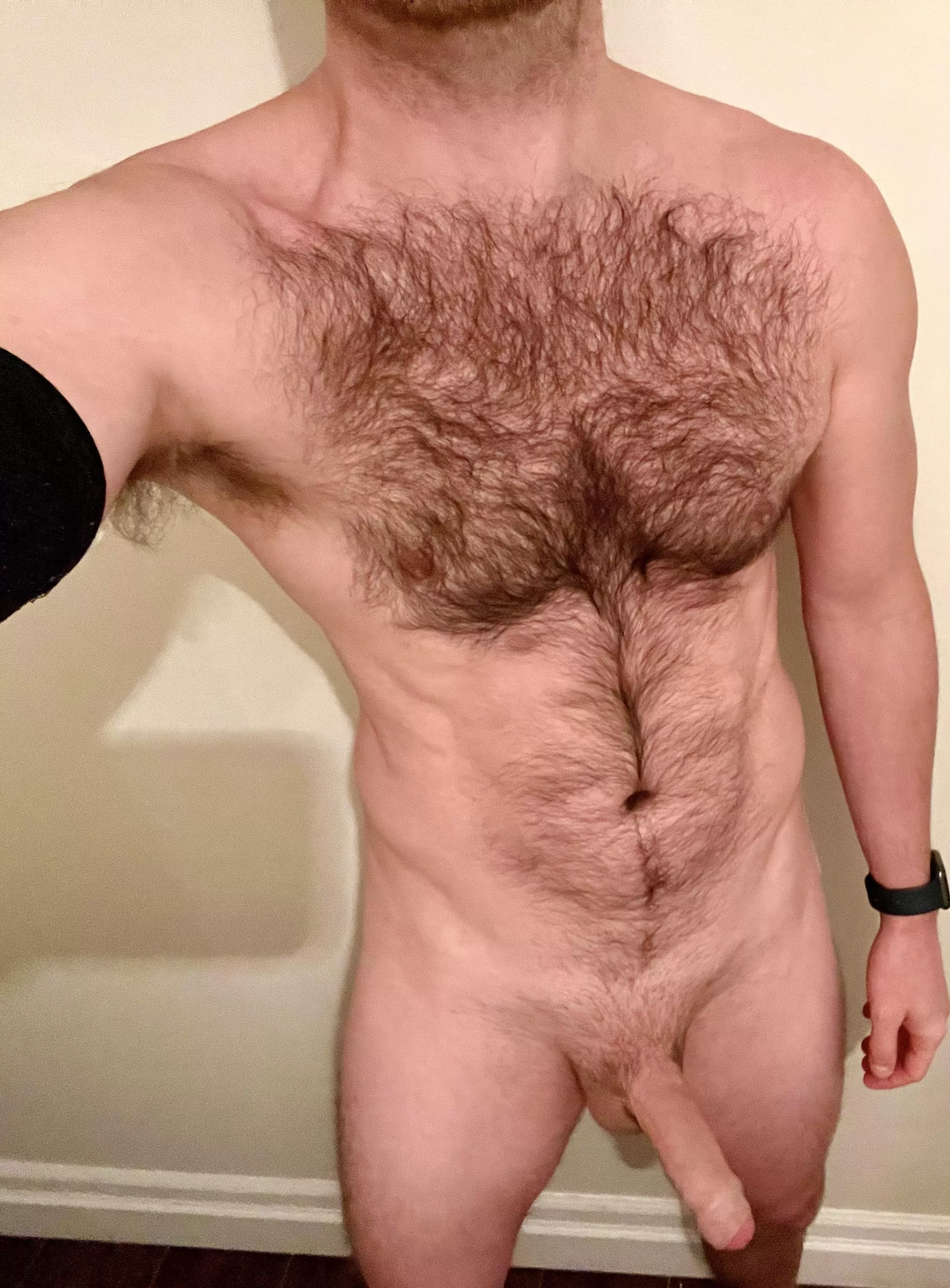 (35) Fit, hairy and ready to breed. Any takers? posted by Dollar-Dick