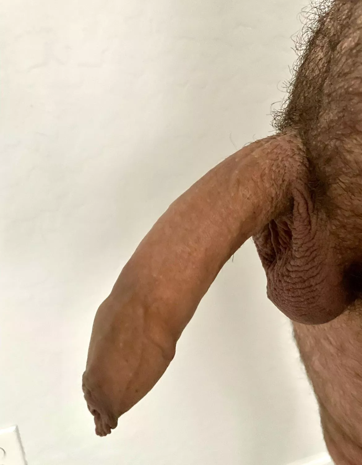 (44) Proud of my foreskin posted by bostonbakedbeats