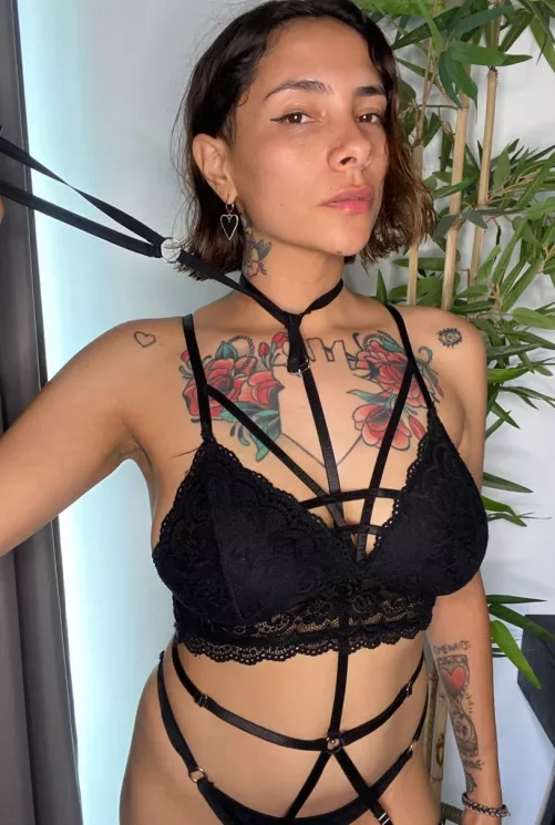 A [f]unny new harness for fav Master's pet by engildhullinge86