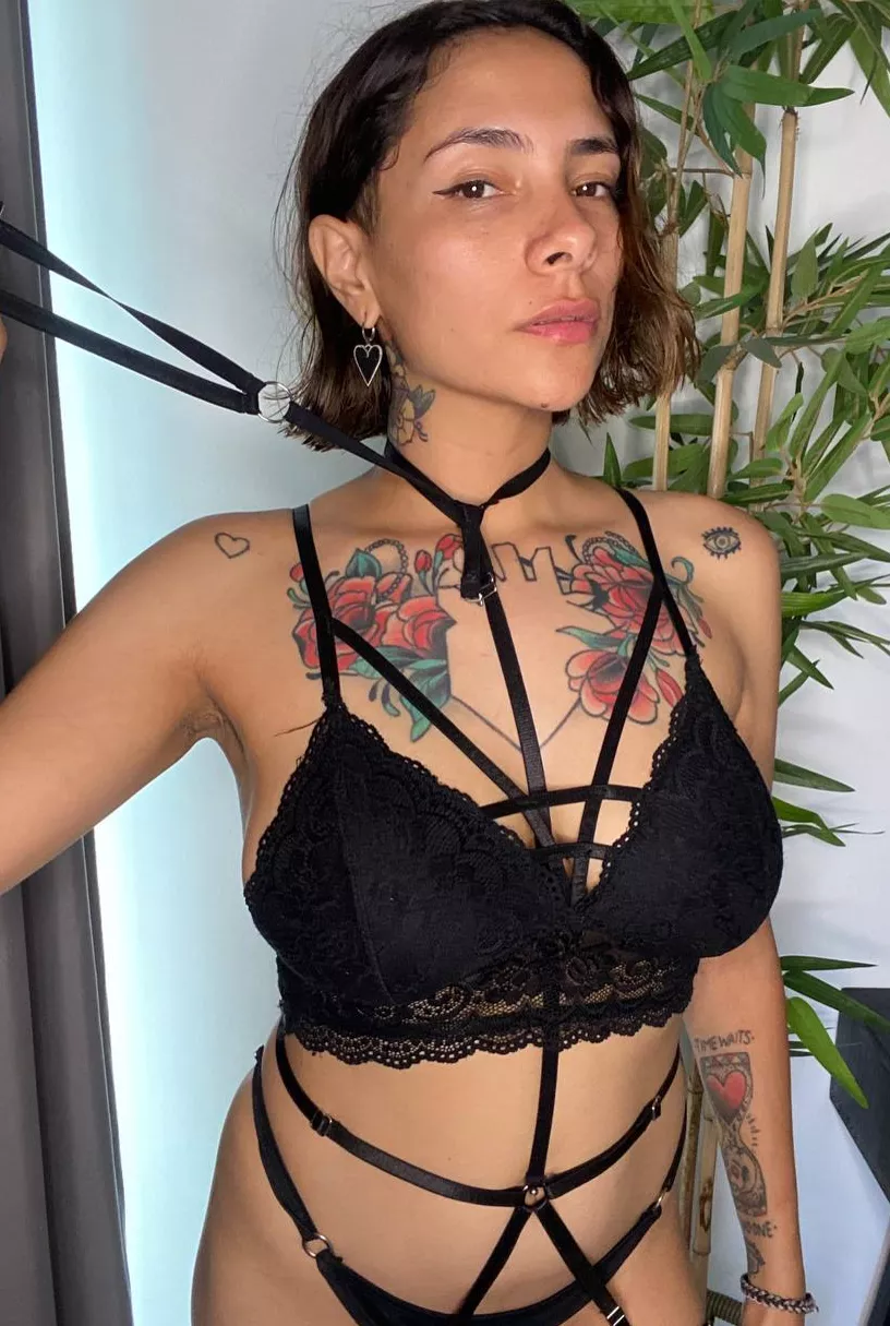 A [f]unny new harness for fav Master's pet posted by engildhullinge86