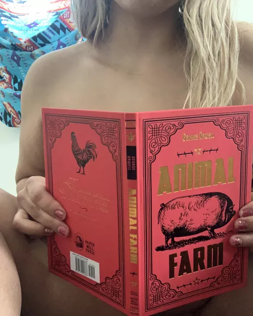 Are you a good horsey? by Defiant_Doughnut5723