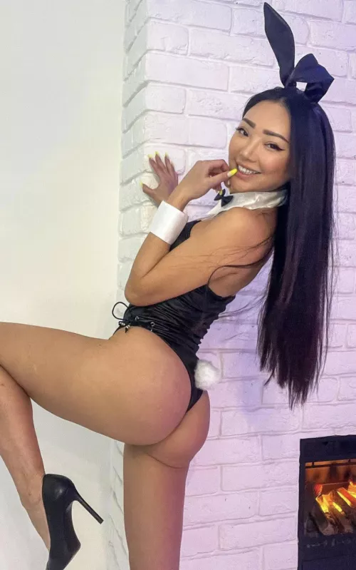 Can you catch this bunny? by Aussiebabe2023