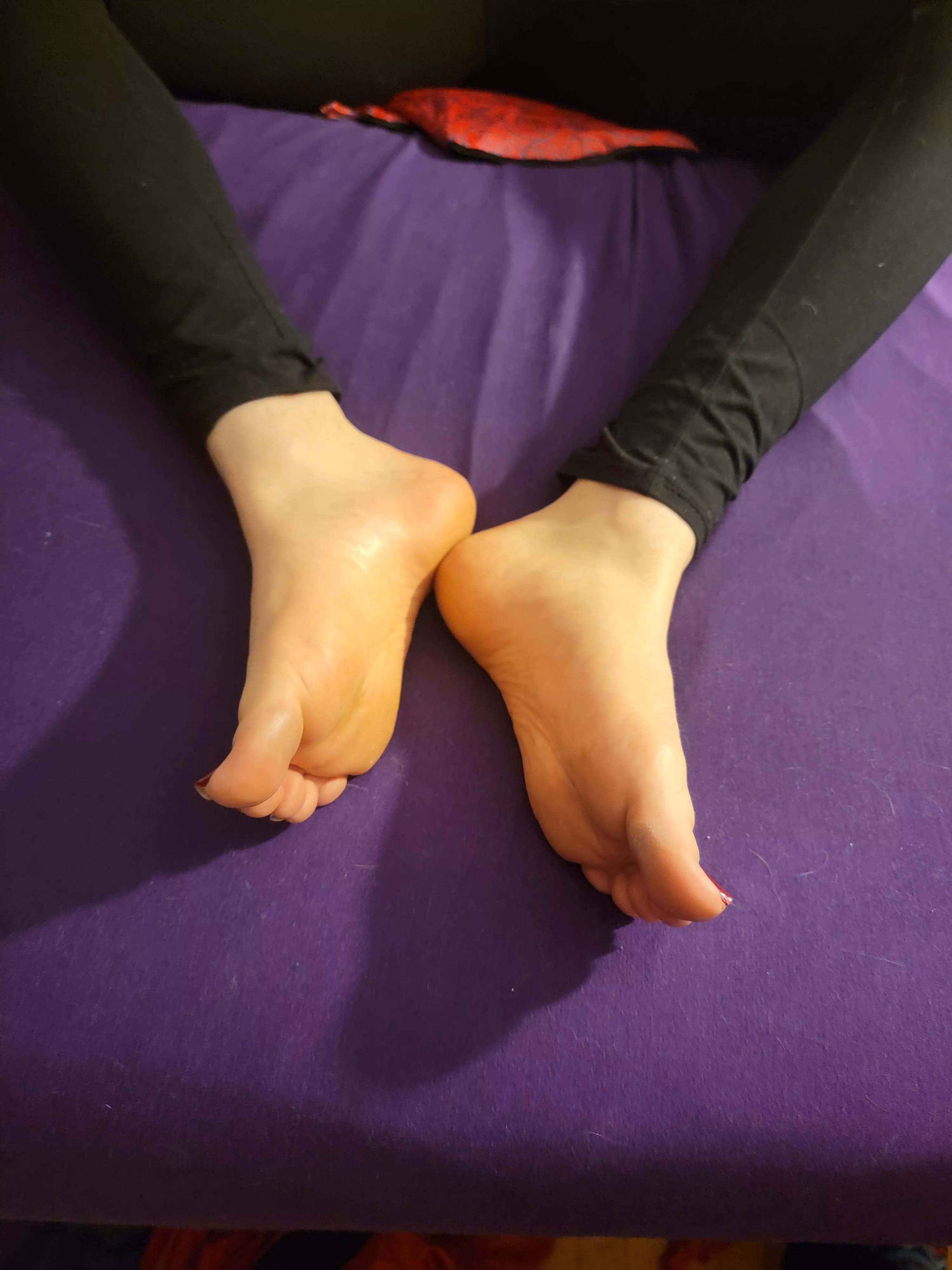 Don't they just look so soft and inviting? 😘 posted by catasticNya